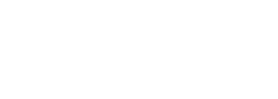 Logo Tlv